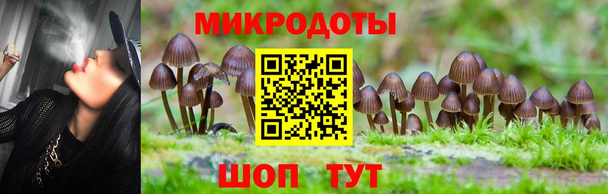 Галлюциногенные грибы Psilocybine cubensis  Вход с VPN  Урай 